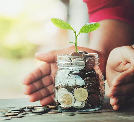 Mutual Funds Service Image