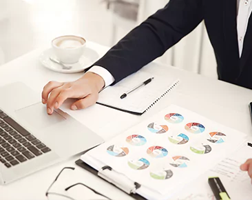 Portfolio Management Services Service Image