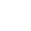 Insurance Icon